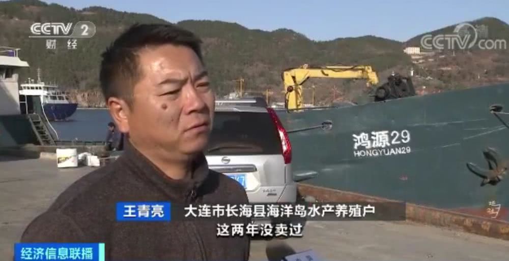 獐子岛扇贝花样死亡，周边海域却正常！原来背后有这么多事