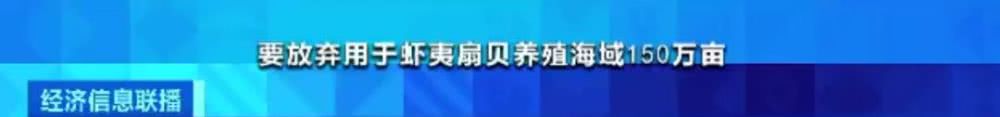 獐子岛扇贝花样死亡，周边海域却正常！原来背后有这么多事