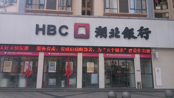 企业用虚假资料骗取湖北银行800万贷款  被免于刑事处罚