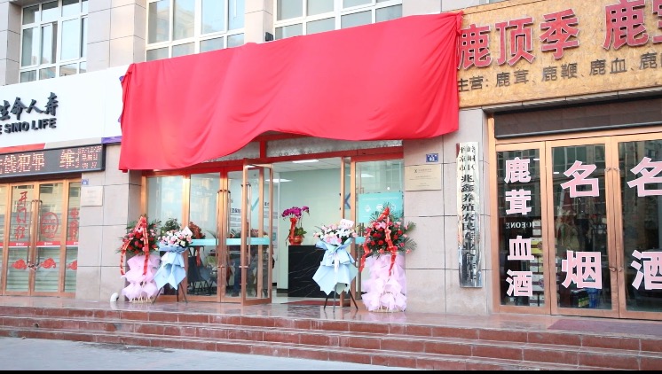 夏至保险咨询：全国首家分公司开往四五线城市的保险咨询公司