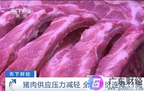 猪肉供应压力减轻 全国肉价连降11周