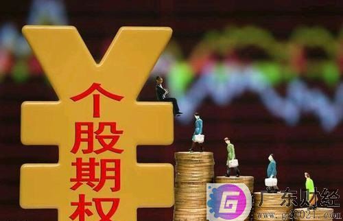 个股期权价格变动的影响因素有哪些？期权为什么具有价值？