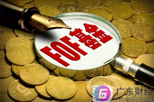 公募FOF基金如何投资？认购门槛及费率解读