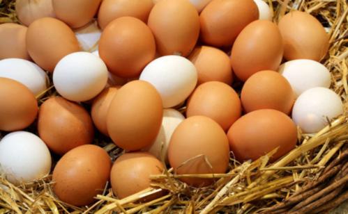 期货鸡蛋价格一手多少钱？