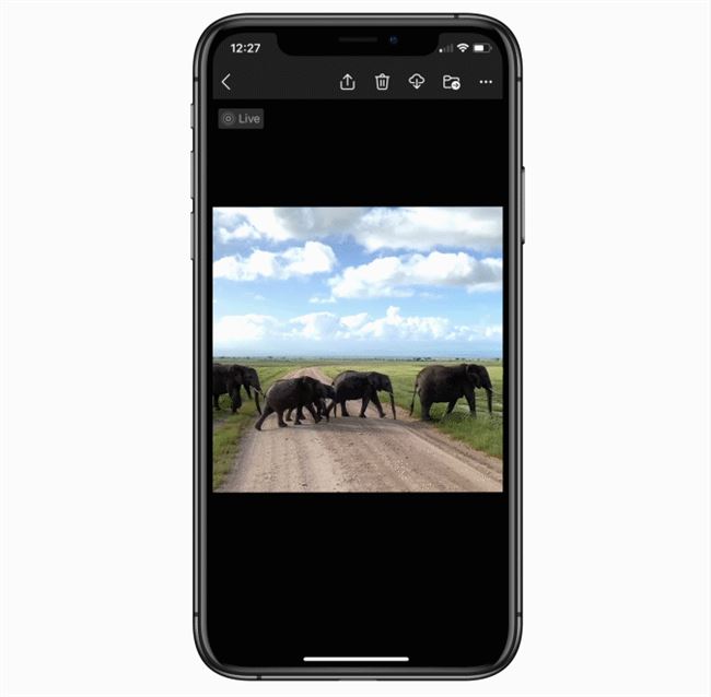 微软 OneDrive 现已支持 iPhone 实况照片 Live Photo