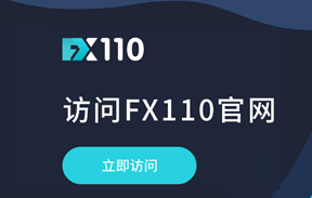 外汇110域名升级