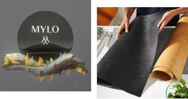 Stella McCartney 2022 春夏系列使用Mylo素蘑菇皮革材质（图源来自网络）