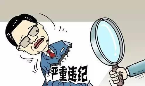 蔡国华