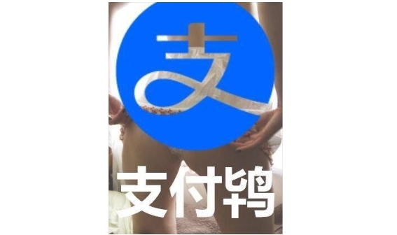 支付鸨是什么意思