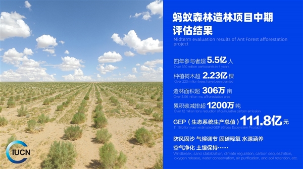 蚂蚁森林造林超过2.23亿棵价值超百亿！上海“手机种树”全国第一