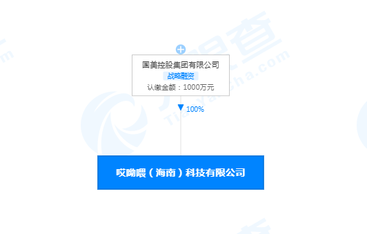 取名有意思！国美在海南成立哎呦喂科技新公司