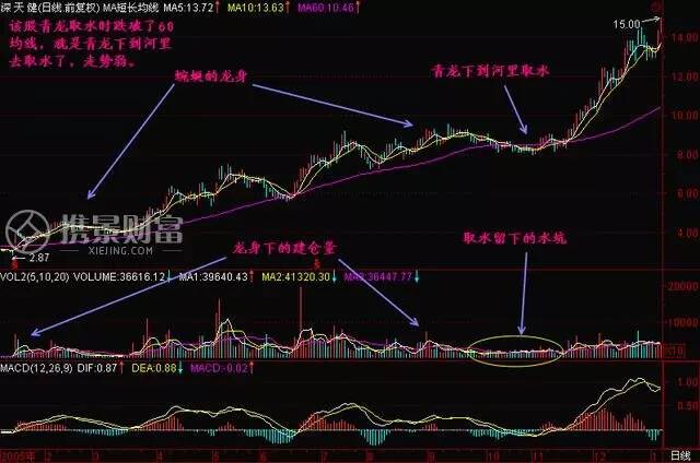 什么是青龙取水?青龙取水的图解分析! 什么是青龙取水?青龙取水的图解分析!