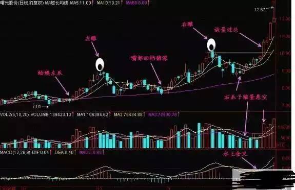 金蛤蟆的简单分析! 金蛤蟆的简单分析!