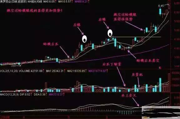 金蛤蟆的简单分析! 金蛤蟆的简单分析!