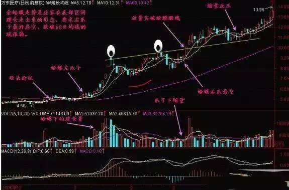 金蛤蟆的简单分析! 金蛤蟆的简单分析!