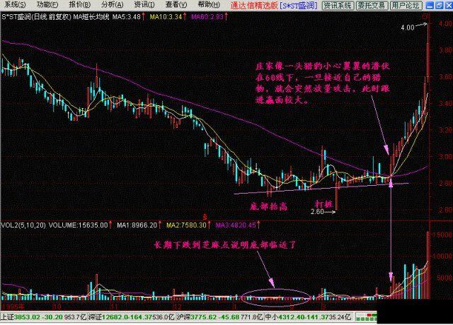猎豹出击形态怎么样?怎样操作? 猎豹出击形态怎么样?怎样操作?