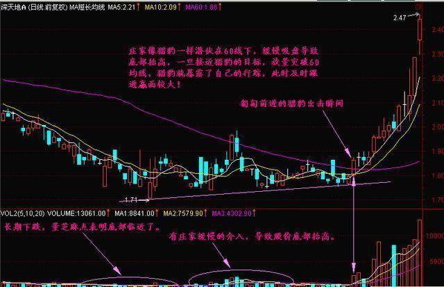 猎豹出击形态怎么样?怎样操作? 猎豹出击形态怎么样?怎样操作?