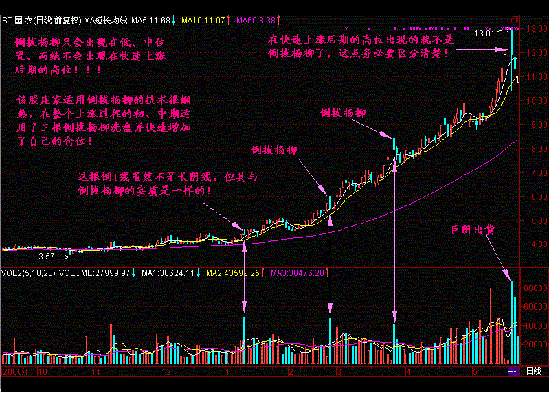 长阴倒拔杨柳形态如何?我们应当如何应对? 长阴倒拔杨柳形态如何?我们应当如何应对?