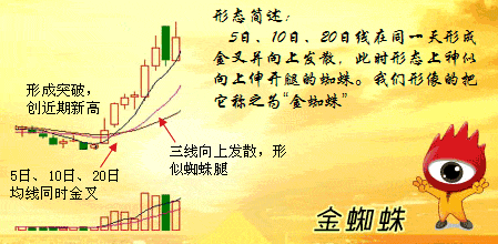 金蜘蛛怎么操作?技术要点有哪些? 金蜘蛛怎么操作?技术要点有哪些?
