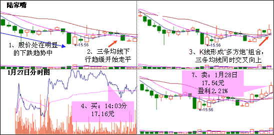 金蜘蛛怎么操作?技术要点有哪些? 金蜘蛛怎么操作?技术要点有哪些?