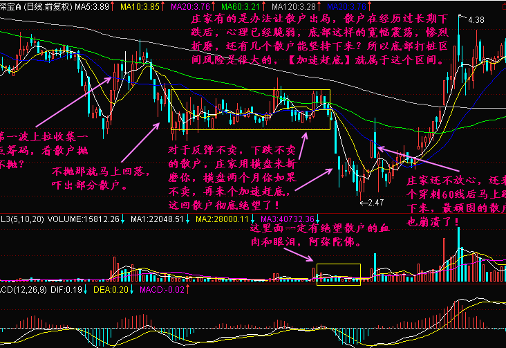 加速赶底为什么?如何应对? 加速赶底为什么?如何应对?