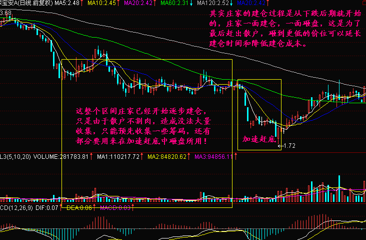 加速赶底为什么?如何应对? 加速赶底为什么?如何应对?
