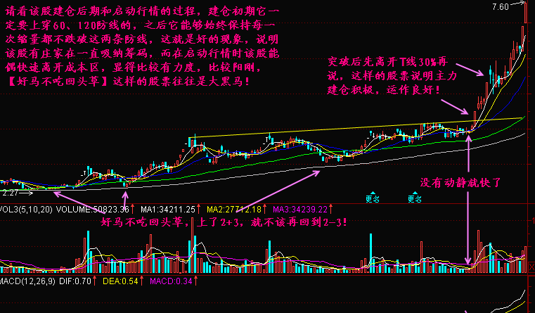 好马不吃回头草的股票好不好? 好马不吃回头草的股票好不好?