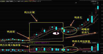 十大牛股图形老鸭头是什么?老鸭头的买卖技巧有哪些? 十大牛股图形老鸭头是什么?老鸭头的买卖技巧有哪些?