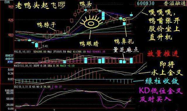 十大牛股图形老鸭头是什么?老鸭头的买卖技巧有哪些? 十大牛股图形老鸭头是什么?老鸭头的买卖技巧有哪些?