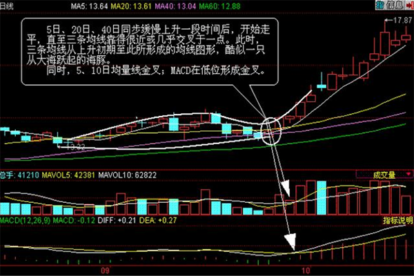 什么是海豚张嘴,海豚嘴形态要点有哪些? 什么是海豚张嘴,海豚嘴形态要点有哪些?