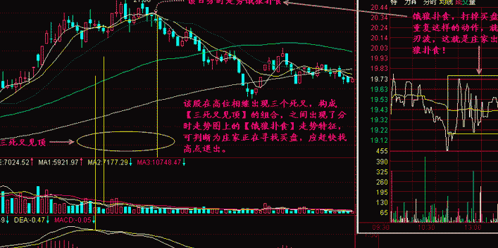 饿狼扑食是什么形态?怎么操作? 饿狼扑食是什么形态?怎么操作?