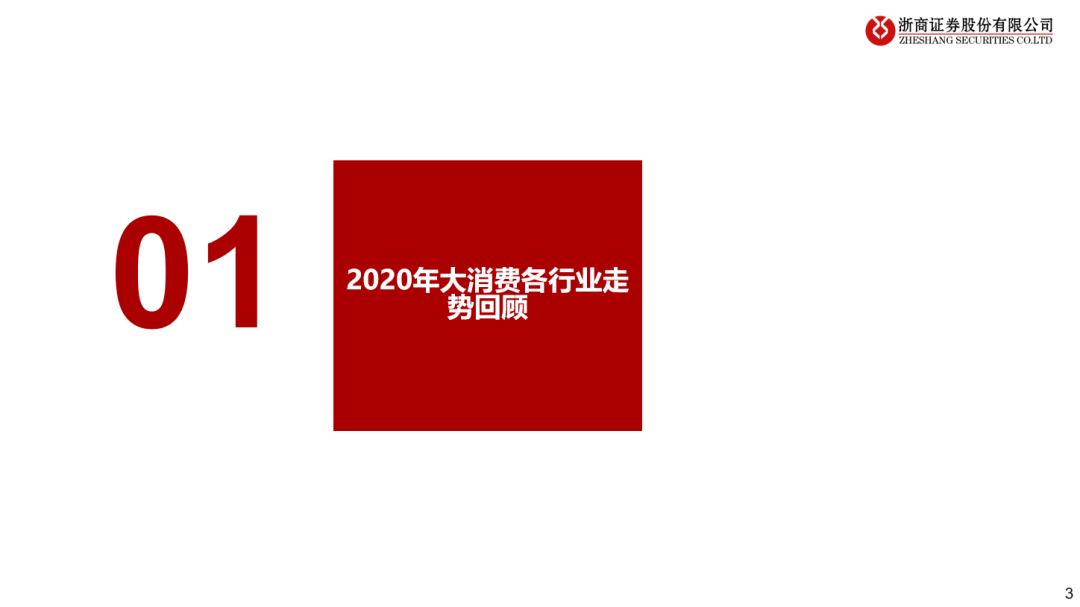 看好21年可选消费投资机会 看好21年可选消费投资机会