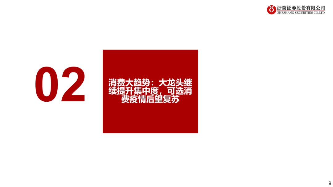 看好21年可选消费投资机会 看好21年可选消费投资机会