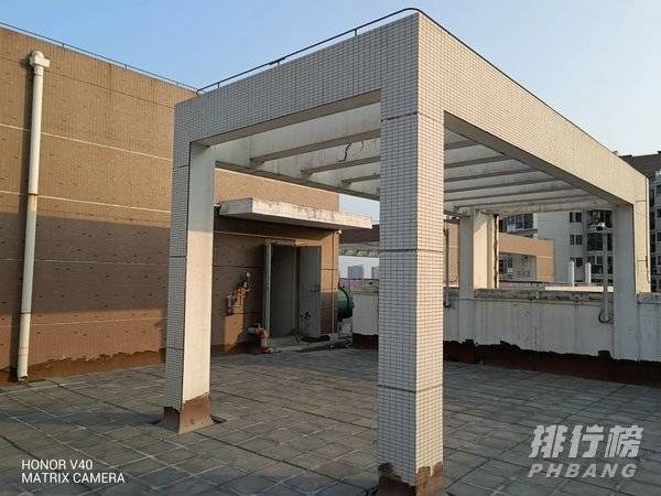 荣耀v40跑分安兔兔