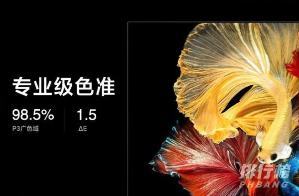 小米oled电视评测_小米oled电视值得买吗