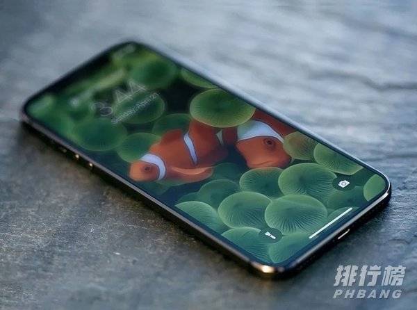小米11和iphone11哪个好_小米11和iphone11怎样选择