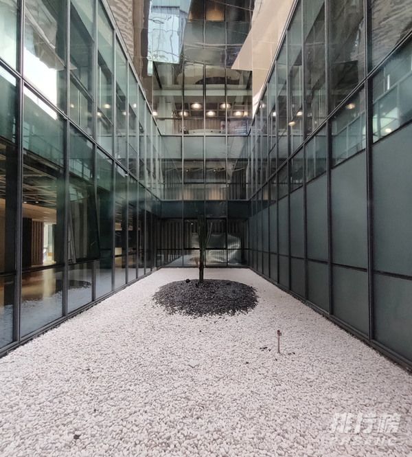 realmegt优缺点_realme gt有什么缺点