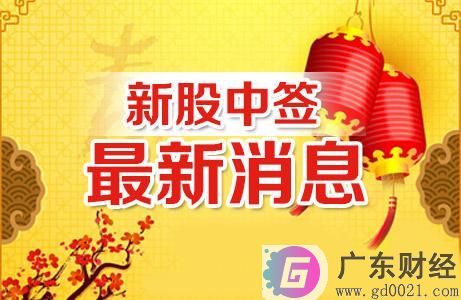 石头科技中签率