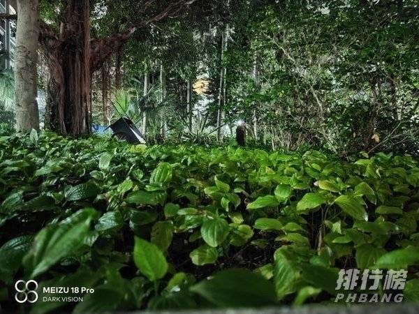 魅族18 pro拍照评测_魅族18pro夜拍评测