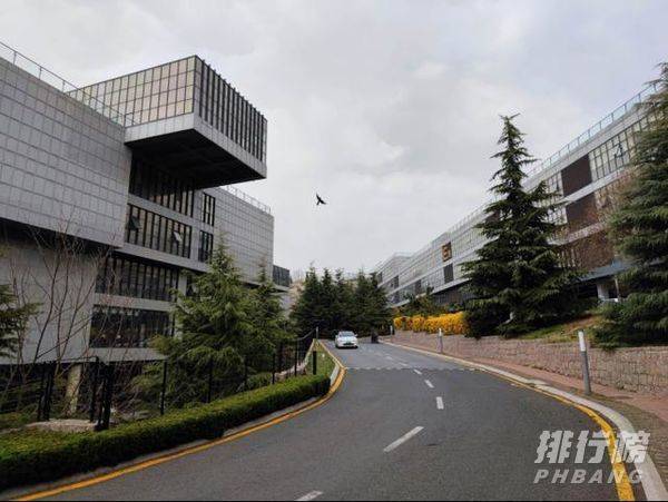 小米11pro的配置_小米11pro配置参数详情