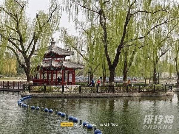 真我gtneo配置_真我gtneo参数配置