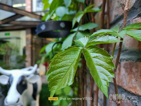真我V13样张