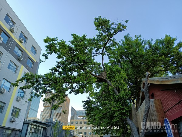 真我V13样张