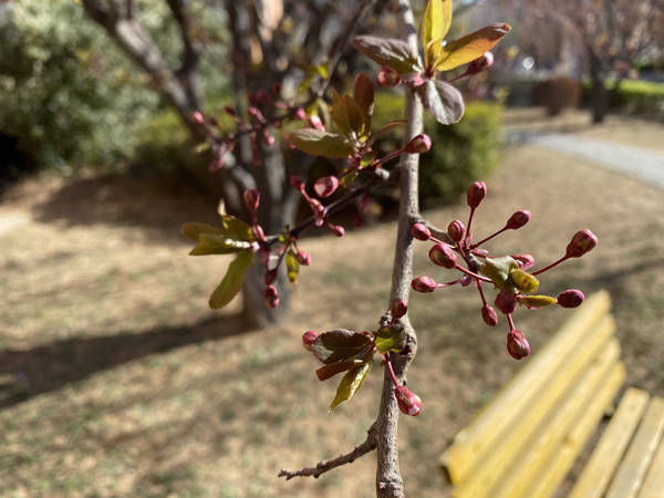 motorola g50评测:时间淬炼经典 享受5G双模越级体验  motorola g50评测:时间淬炼经典 享受5G双模越级体验