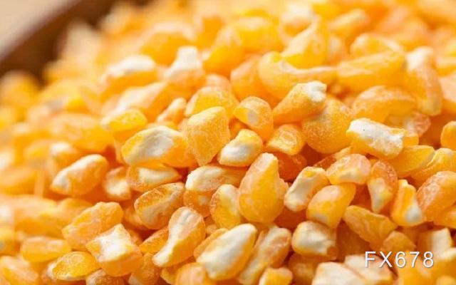 美国玉米价格均创10年新高，或令通胀压力更加雪上加霜