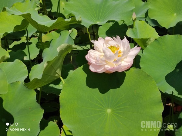 小米MIX 4评测:把未来 “藏”起来 小米MIX 4评测:把未来 “藏”起来