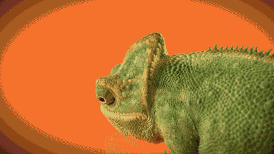 “电致变”&“光致变” 会“变”才科技 “电致变”&“光致变” 会“变”才科技