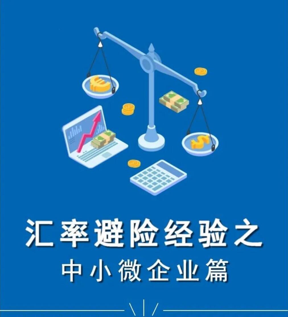 一张图系列--汇率避险经验之中小微企业篇 一张图系列--汇率避险经验之中小微企业篇