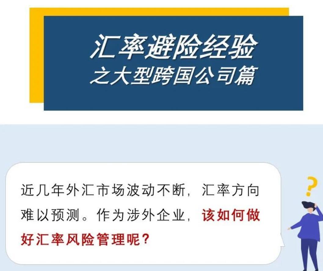 一张图:汇率避险经验之大型跨国公司篇 一张图:汇率避险经验之大型跨国公司篇