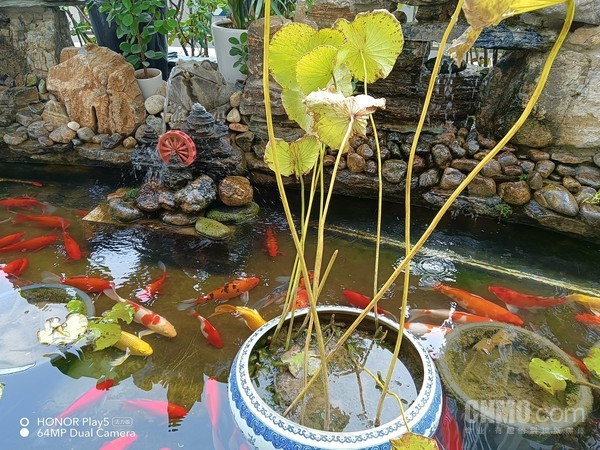 荣耀Play5 活力版评测:原来这就是荣耀的“超感密码” 荣耀Play5 活力版评测:原来这就是荣耀的“超感密码”